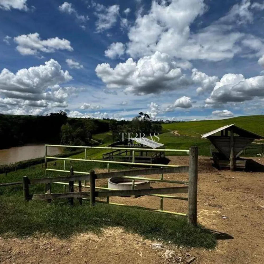 Fazenda, 97 hectares - Foto 3