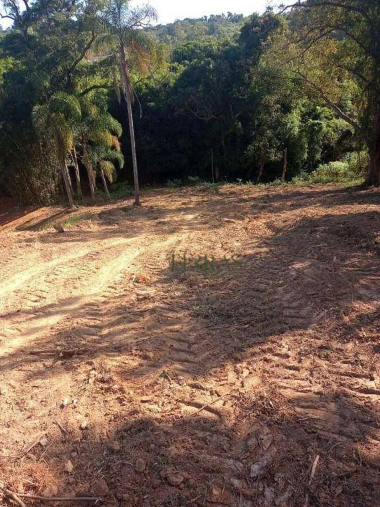 Terreno, 7 hectares - Foto 4