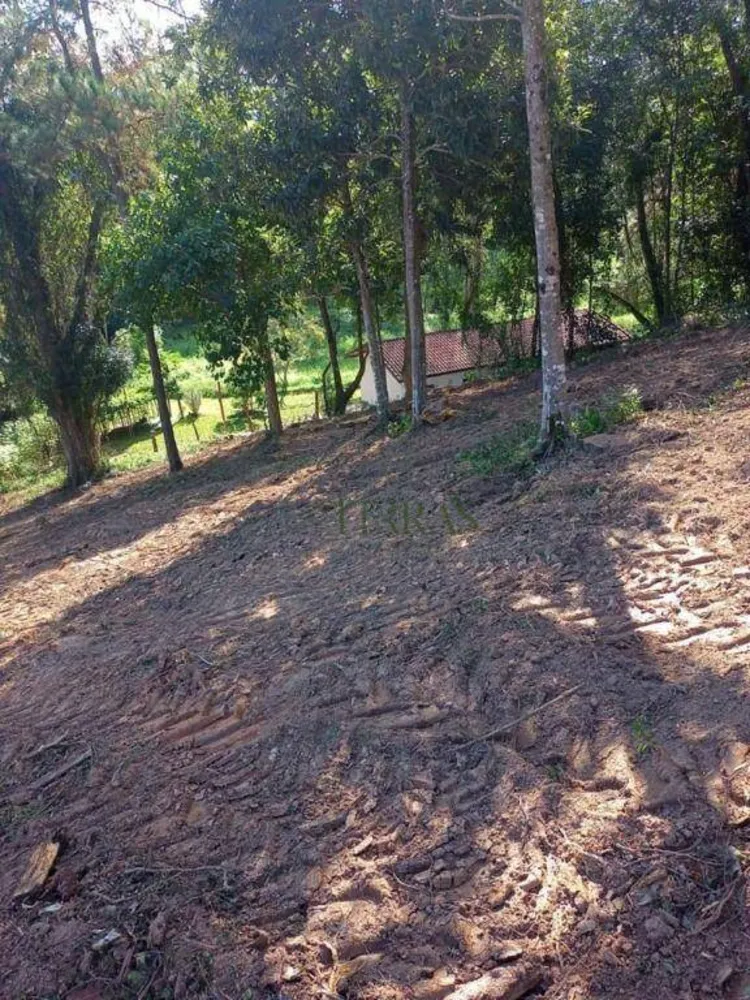 Terreno, 7 hectares - Foto 3