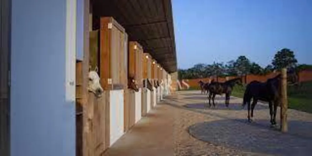 Loteamento e Condomínio, 8500 m² - Foto 5