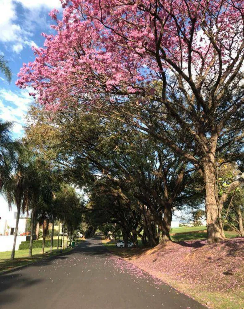 Loteamento e Condomínio, 1028 m² - Foto 2