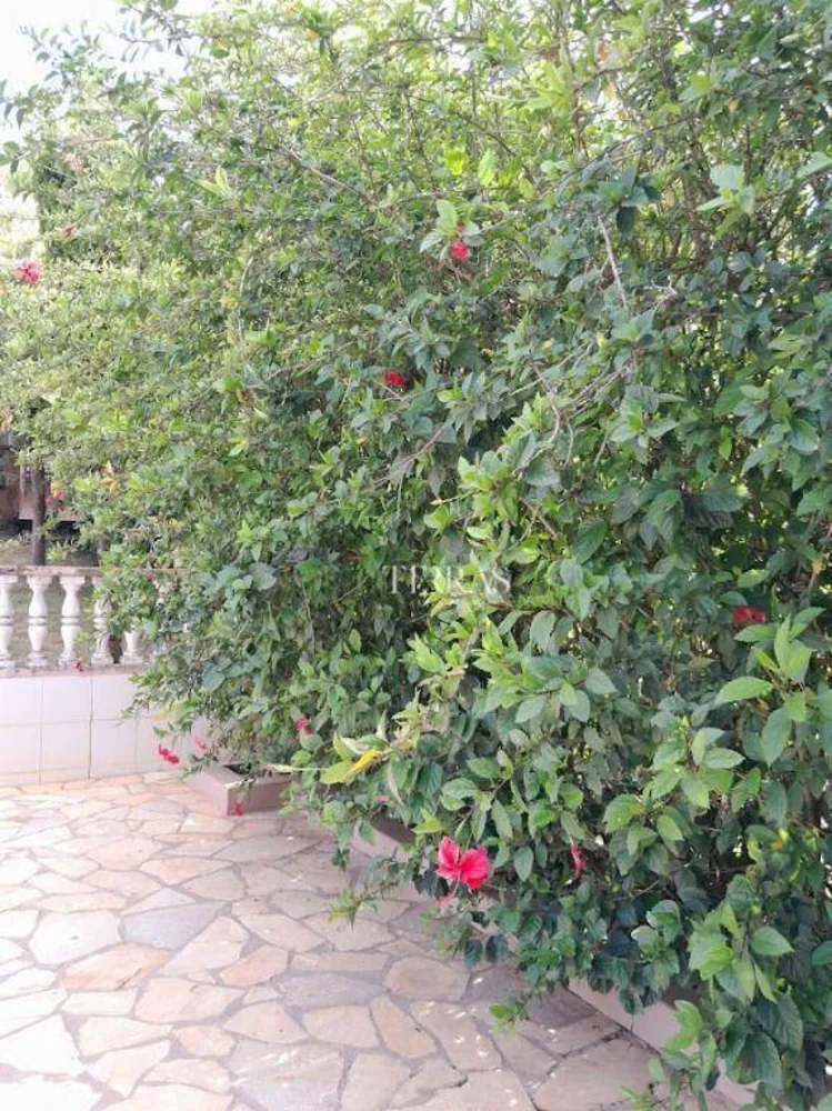 Chácara, 4 quartos, 3990 m² - Foto 8