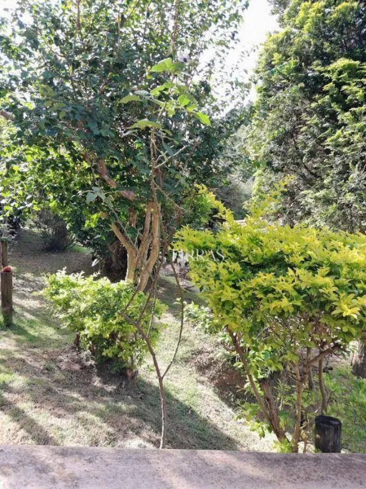 Chácara, 4 quartos, 3990 m² - Foto 2