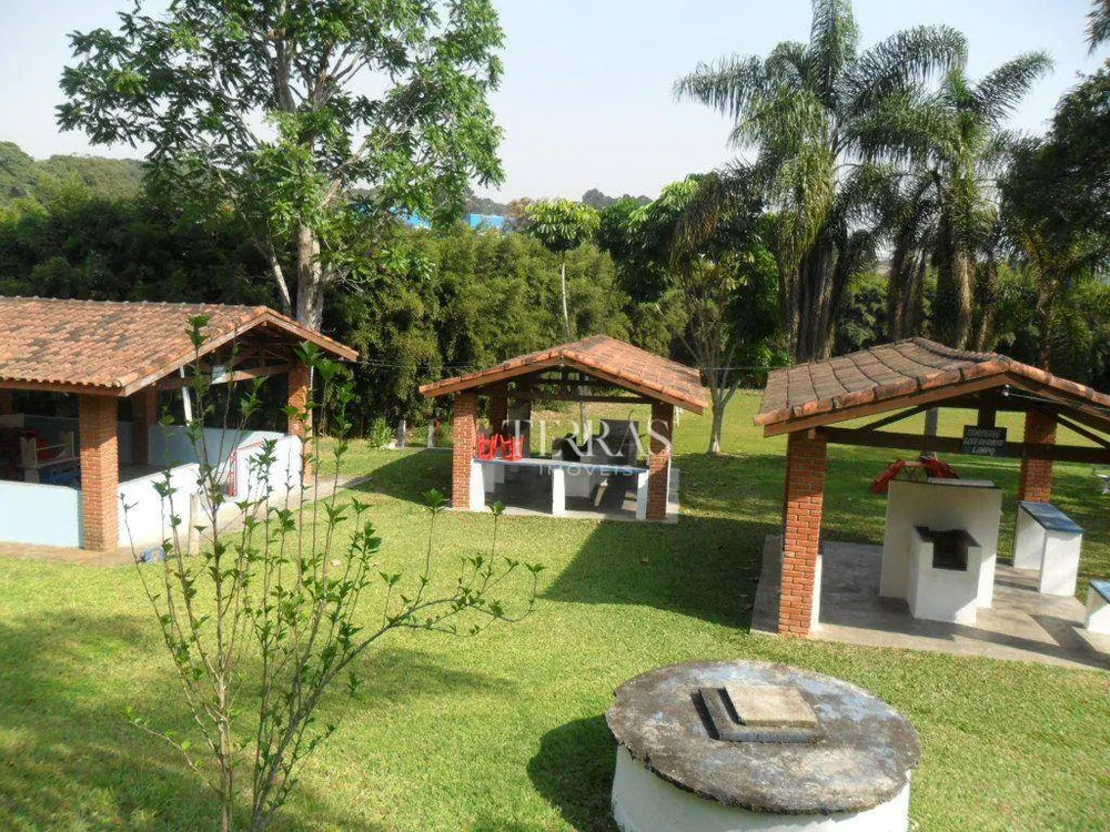 Terreno, 6 hectares - Foto 5