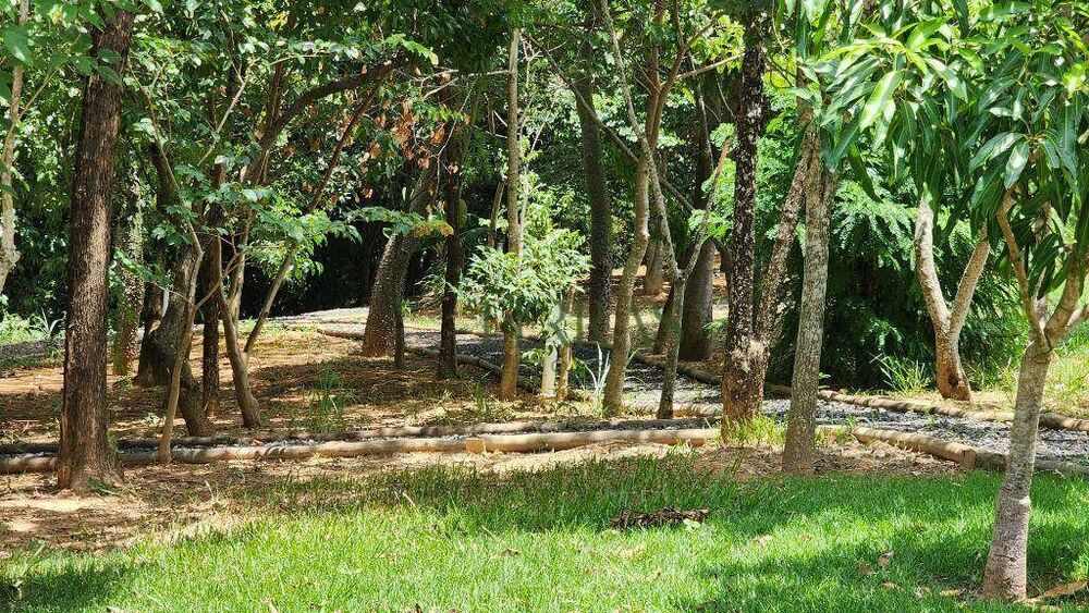 Loteamento e Condomínio, 363 m² - Foto 3