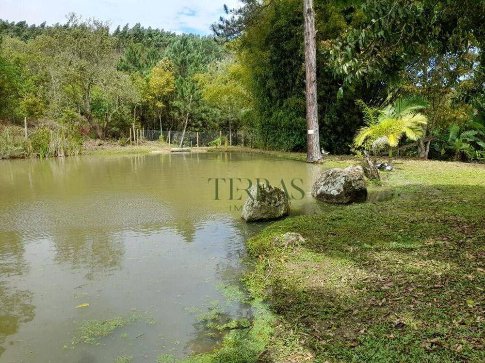 Chácara à venda com 3 quartos, 11000M2 - Foto 3