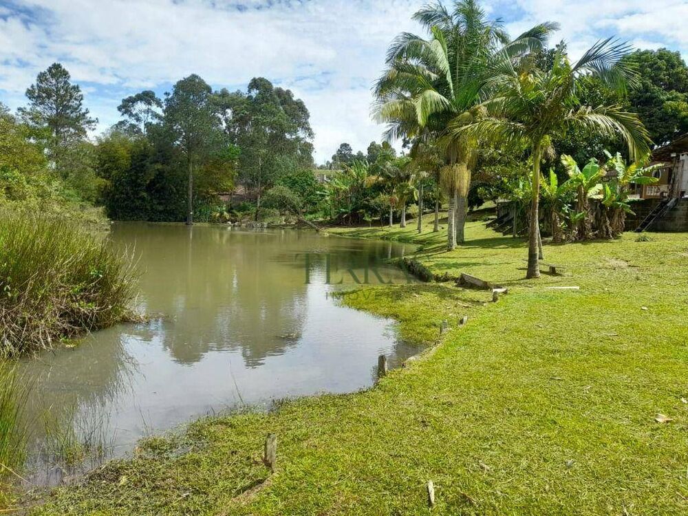 Chácara à venda com 3 quartos, 11000M2 - Foto 4