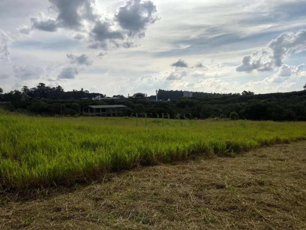 Terreno, 1 hectares - Foto 4