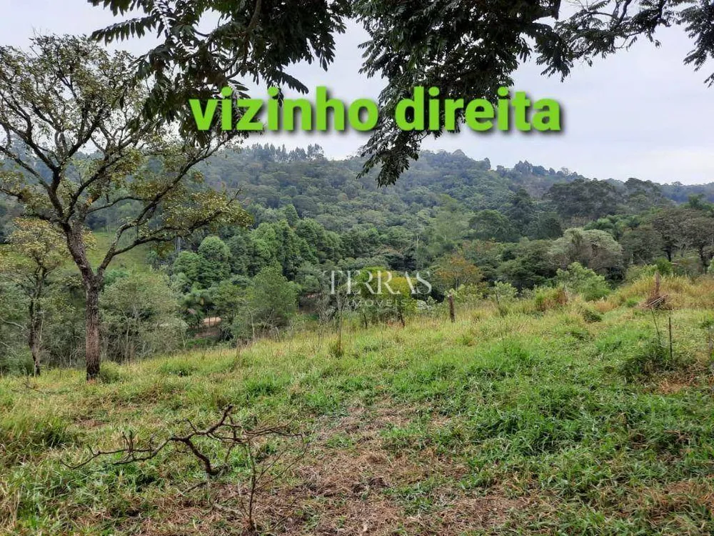 Loteamento e Condomínio, 5000 m² - Foto 6