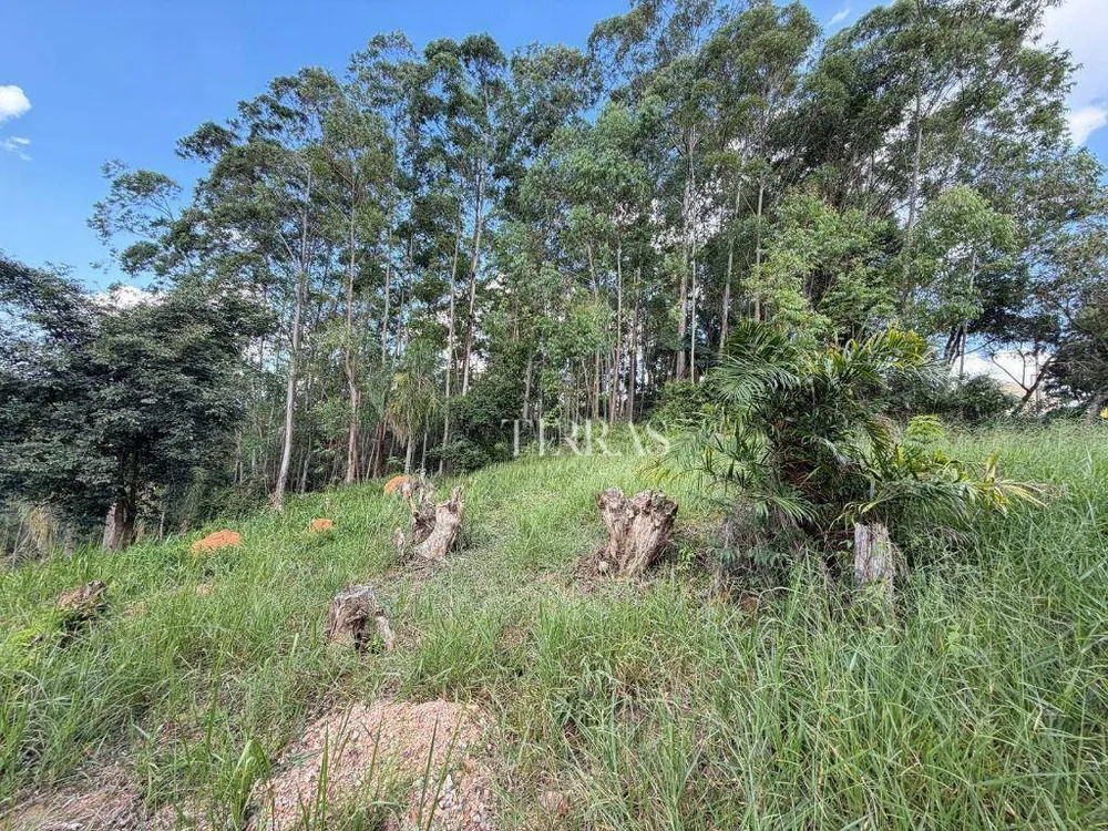 Loteamento e Condomínio, 2511 m² - Foto 7