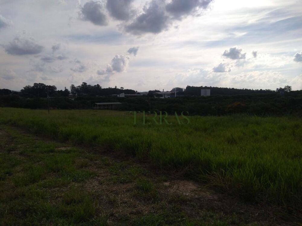 Terreno, 2 hectares - Foto 3