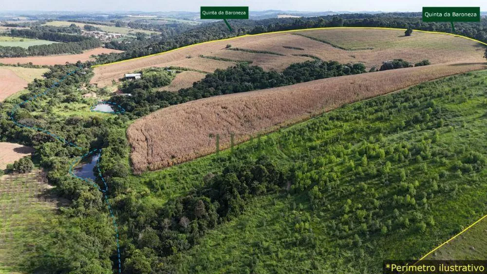 Terreno, 62 hectares - Foto 3