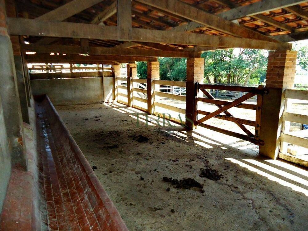 Terreno, 14 hectares - Foto 4