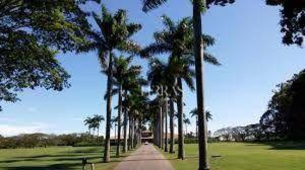 Loteamento e Condomínio, 6500 m² - Foto 8