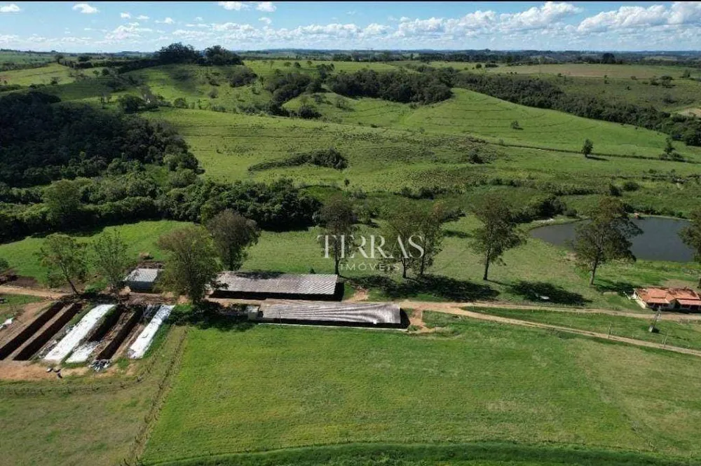 Fazenda, 300 hectares - Foto 6