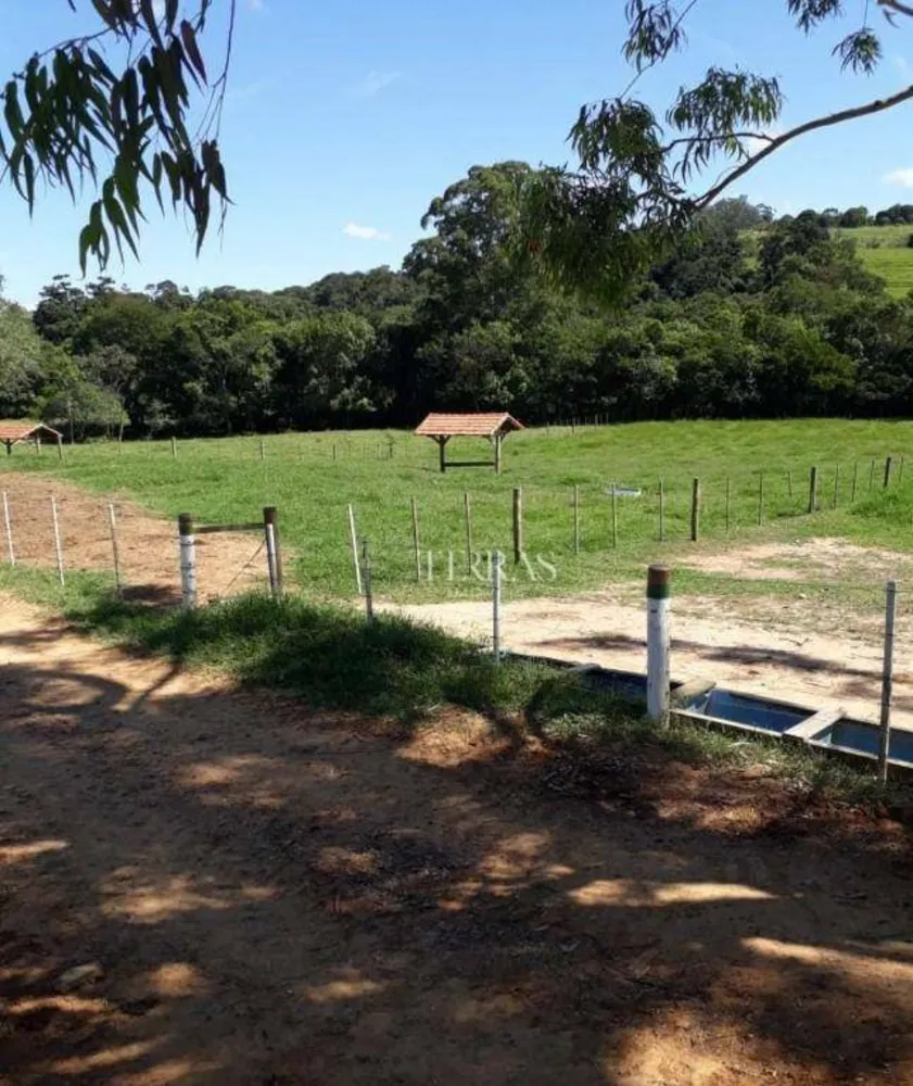 Fazenda, 300 hectares - Foto 4