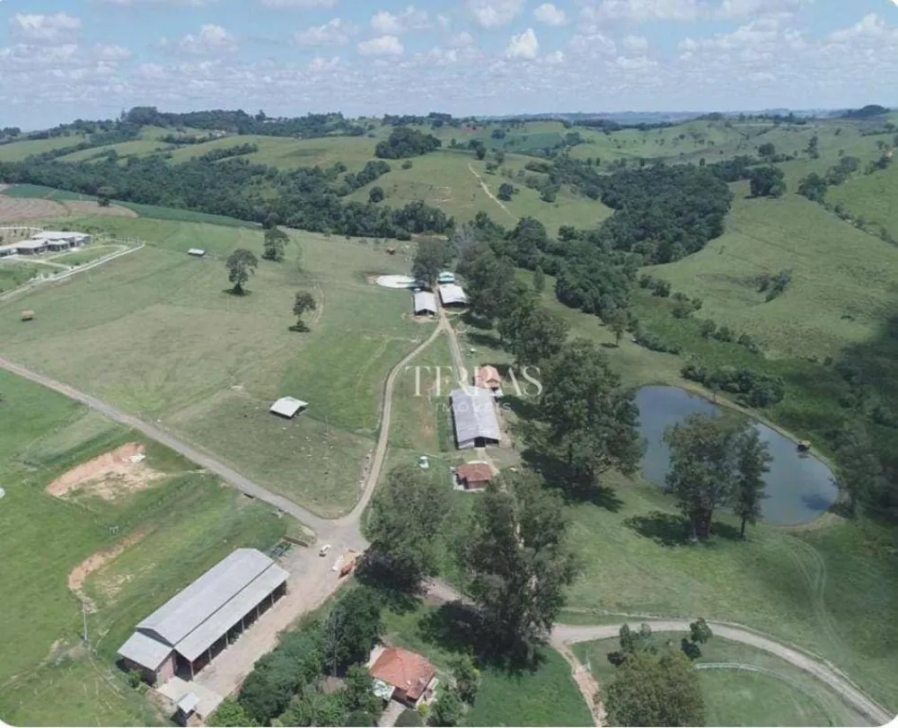 Fazenda, 300 hectares - Foto 3