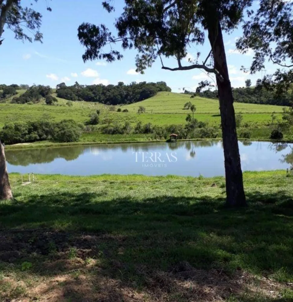 Fazenda, 300 hectares - Foto 7
