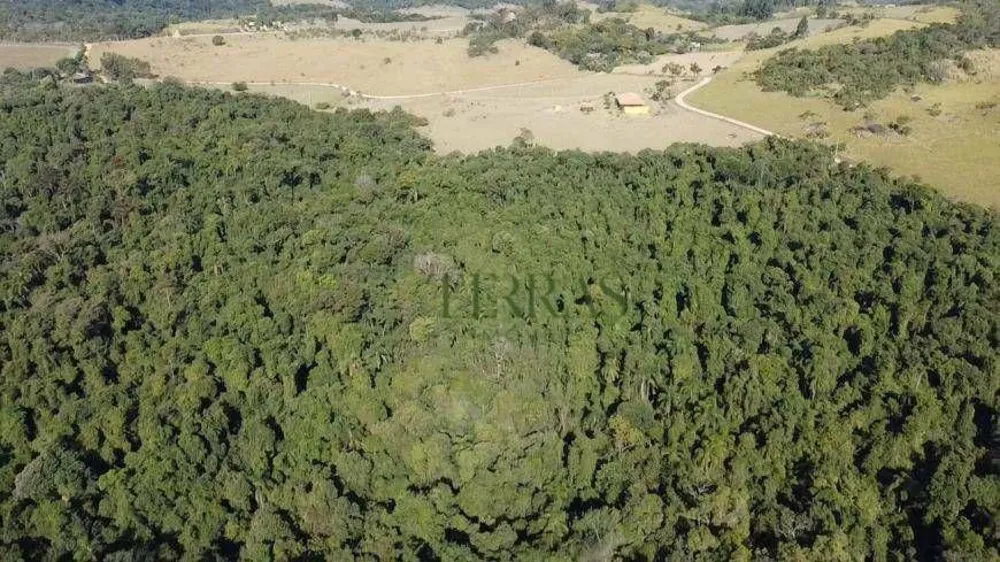 Chácara, 3 quartos, 5 hectares - Foto 11