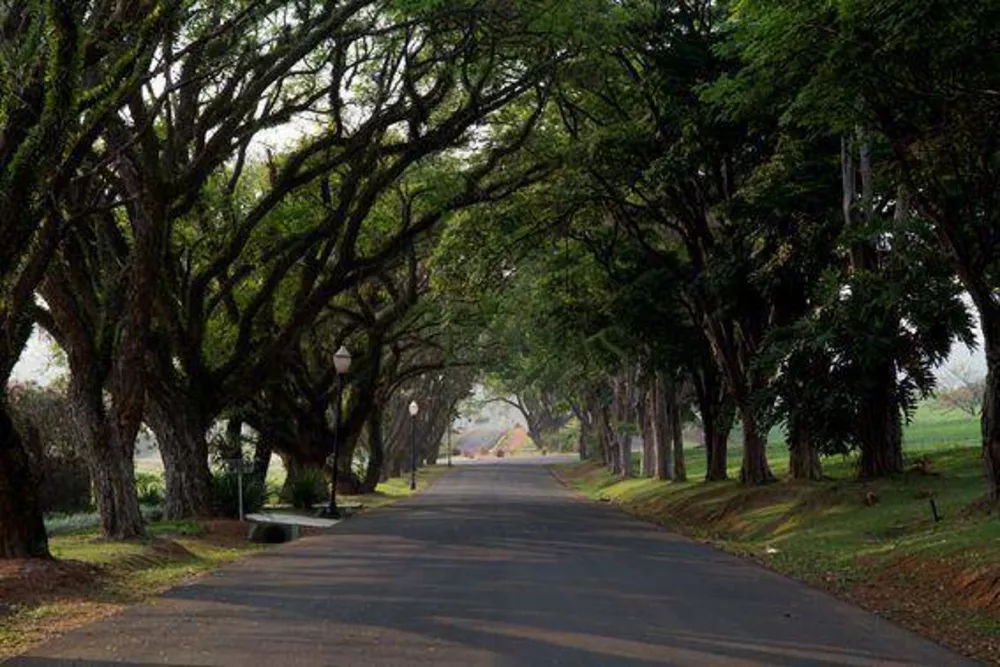 Loteamento e Condomínio, 1500 m² - Foto 3
