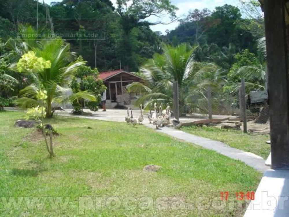Sítio, 2 quartos, 1000 m² - Foto 16