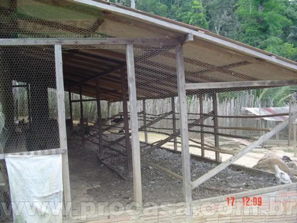 Sítio, 2 quartos, 1000 m² - Foto 1