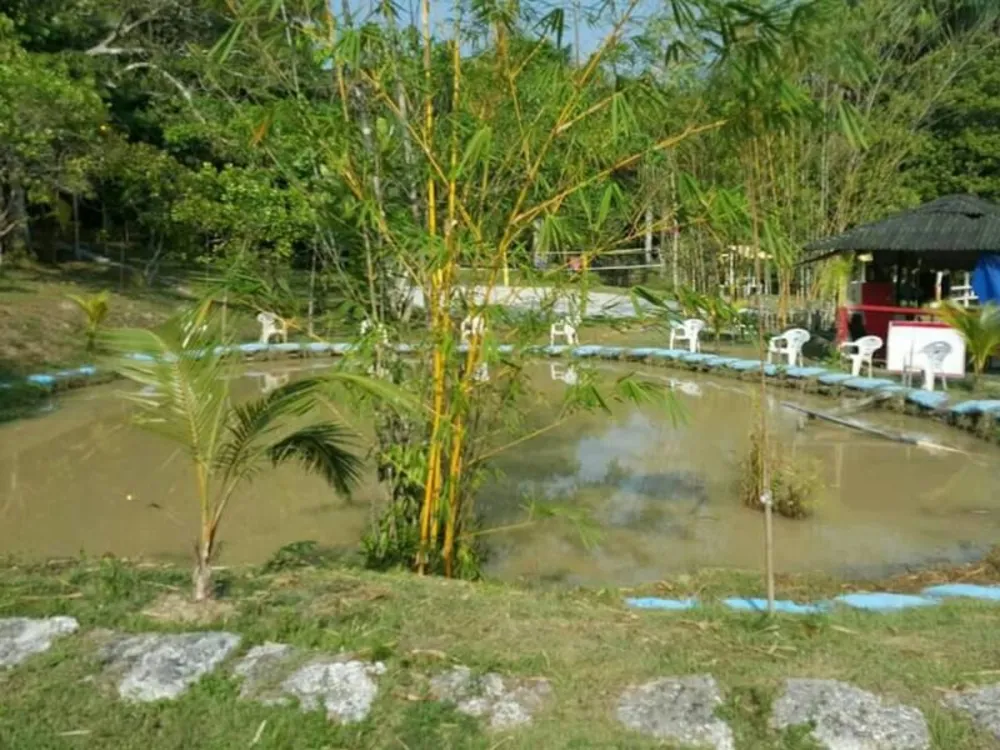 Chácara, 3 quartos, 6 hectares - Foto 11