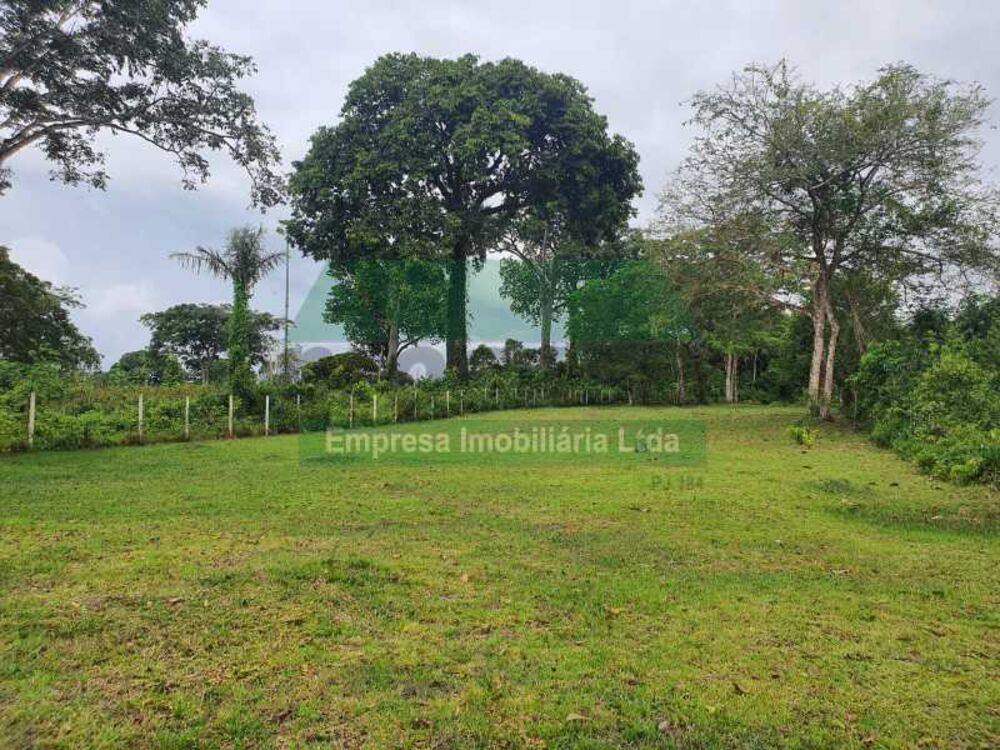 Terreno, 28 hectares - Foto 6