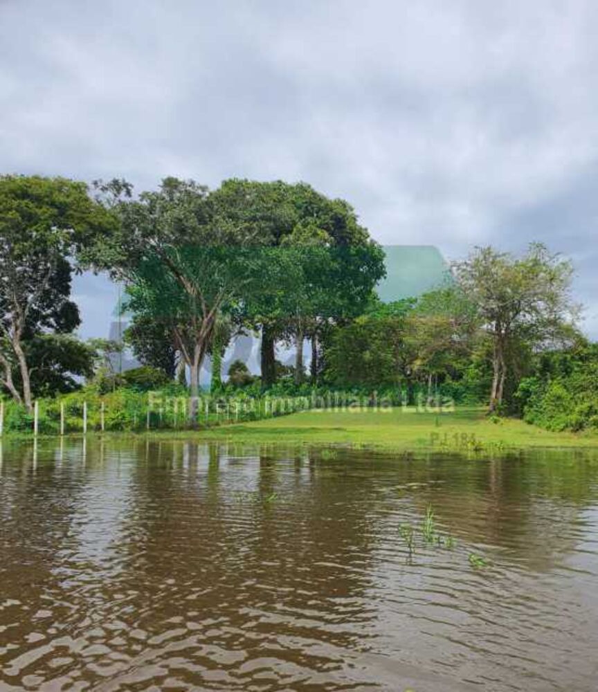 Terreno, 28 hectares - Foto 5