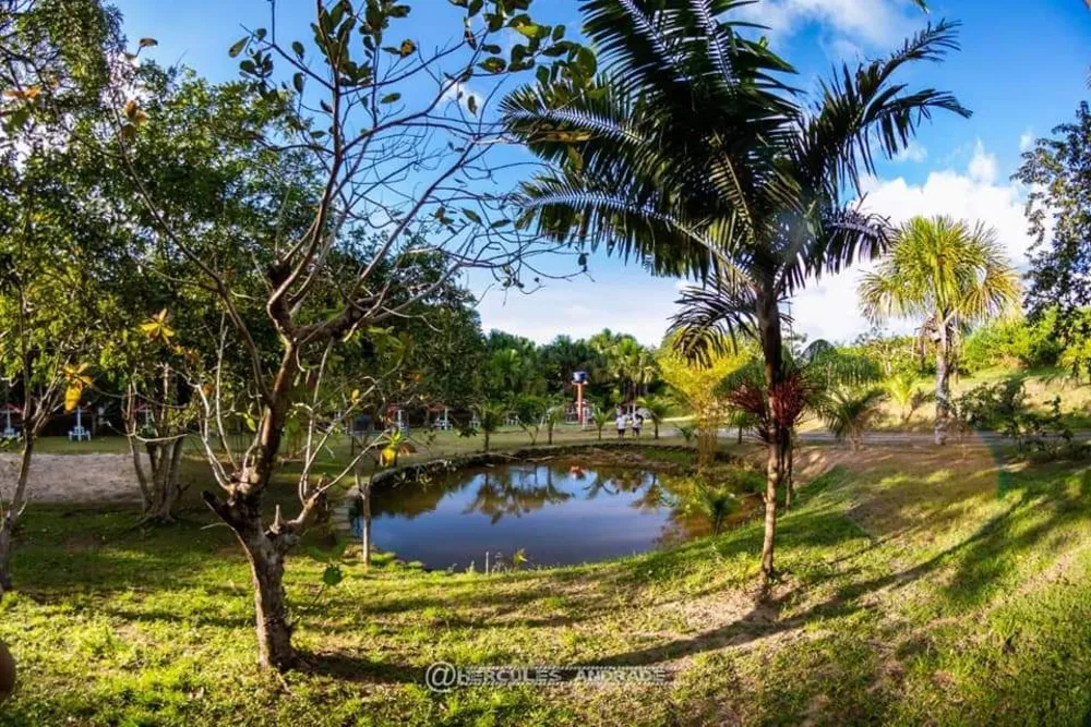 Chácara, 3 quartos, 6 hectares - Foto 1