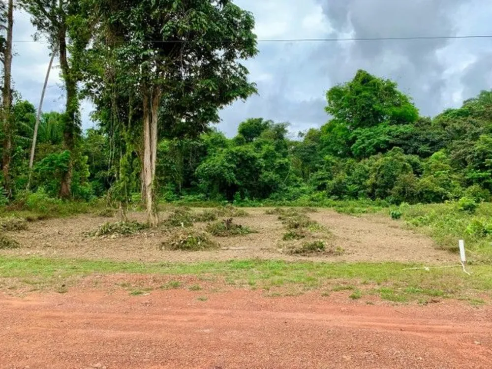 Terreno - Foto 1