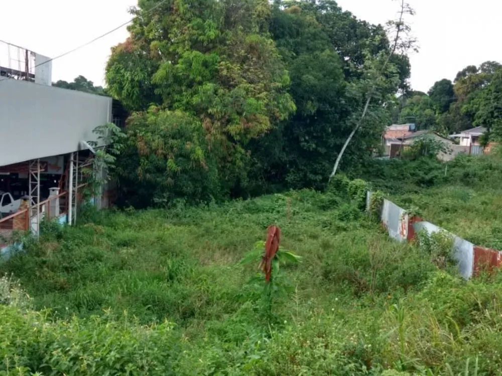 Terreno - Foto 2