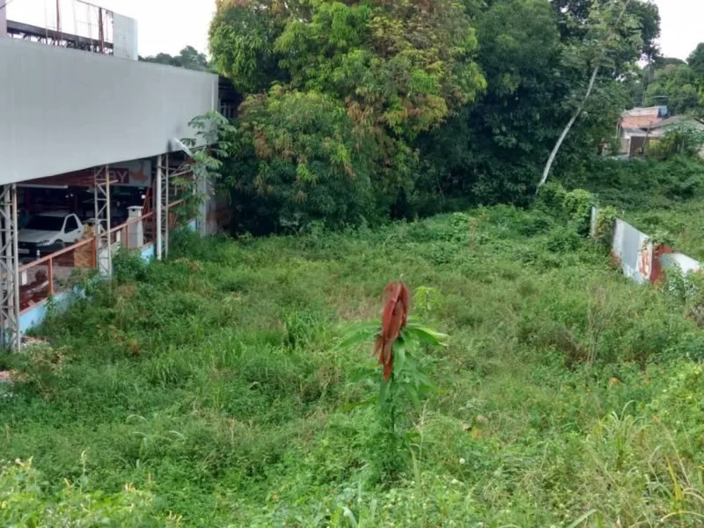 Terreno - Foto 3
