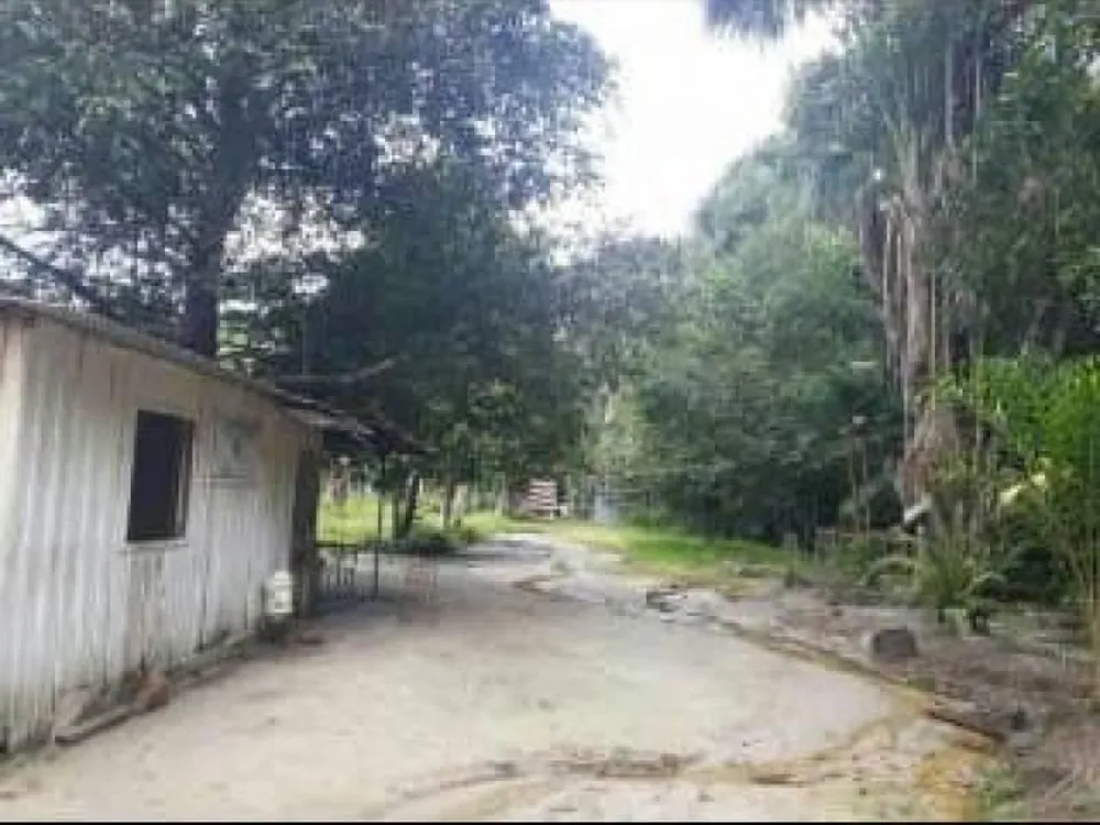 Sítio, 1 quarto, 770 m² - Foto 1