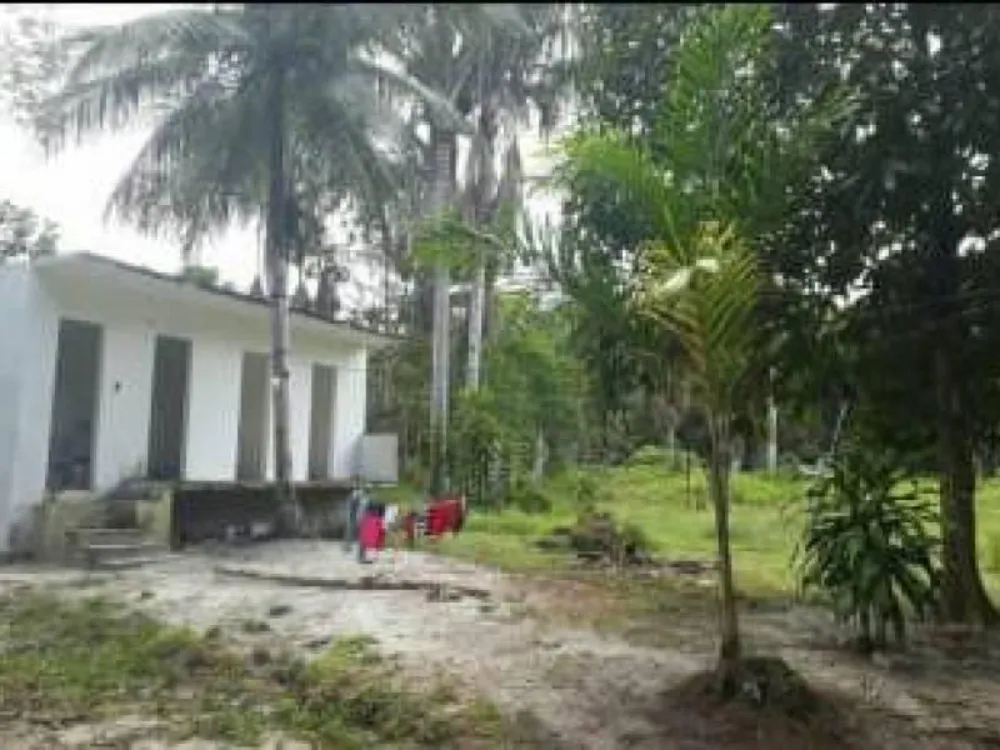 Sítio, 1 quarto, 770 m² - Foto 5