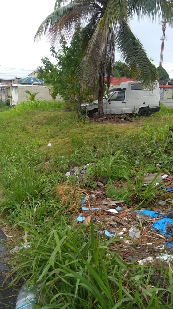 Terreno à venda, 238 - Foto 4