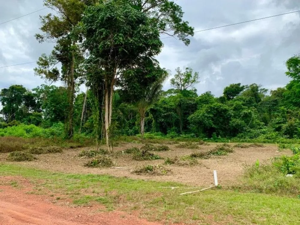 Terreno à venda - Foto 1