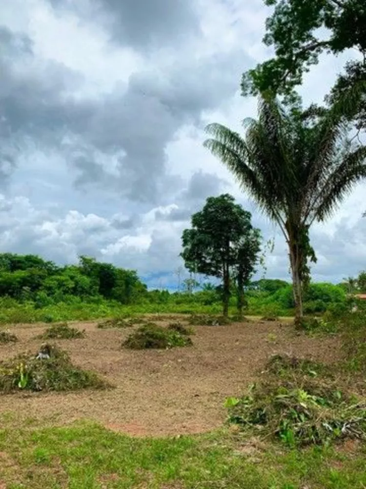 Terreno à venda - Foto 3