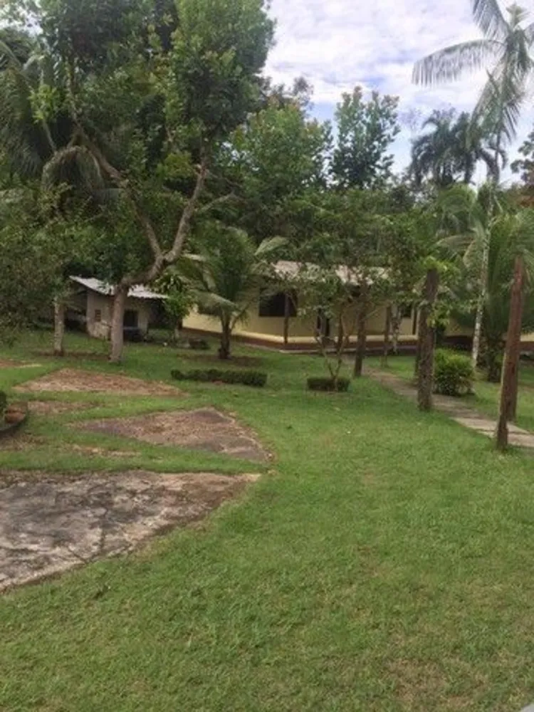 Chácara, 4 quartos, 10000 m² - Foto 3