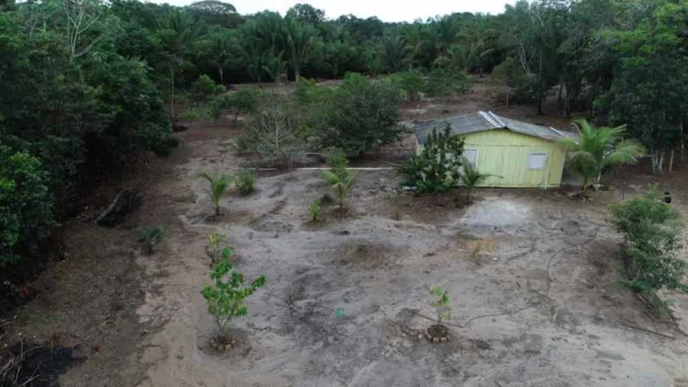 Terreno, 1 hectares - Foto 7