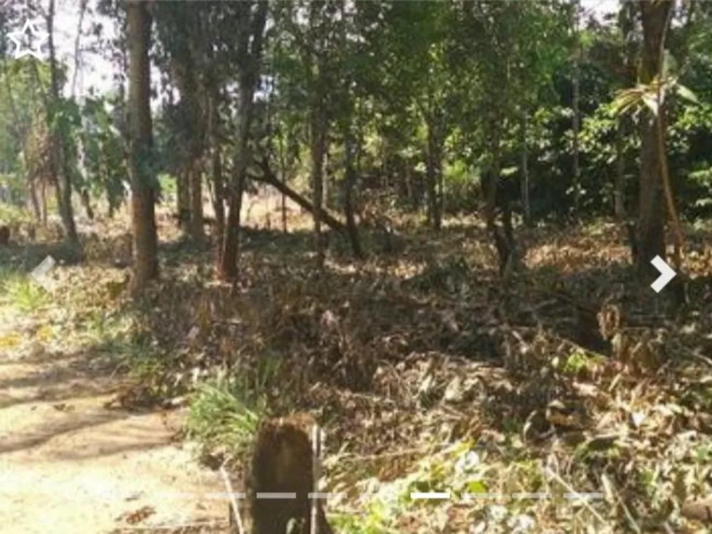 Terreno, 1000 m² - Foto 5