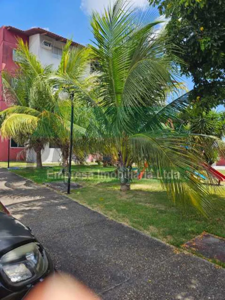 Apartamento, 3 quartos, 64 m² - Foto 11