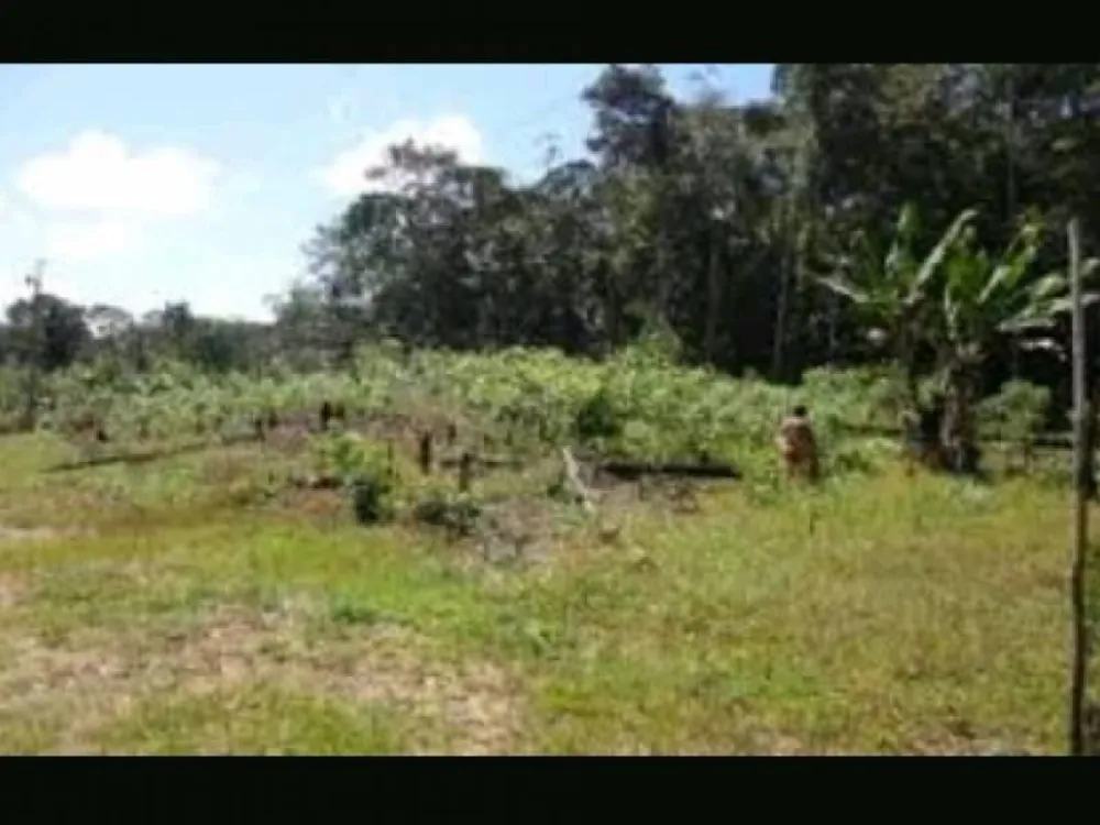 Terreno - Foto 1