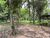 Sítio, 1 quarto, 5000 m² - Foto 8