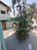 Casa, 4 quartos, 250 m² - Foto 10
