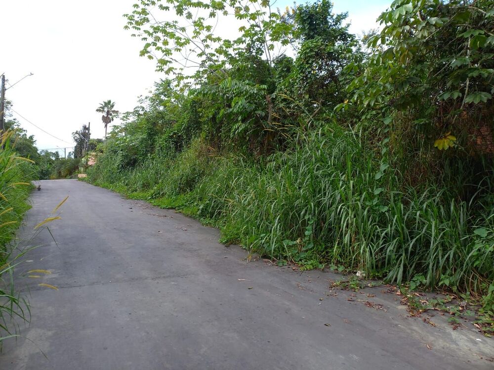 Terreno à venda - Foto 7