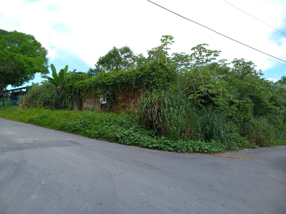 Terreno à venda - Foto 3