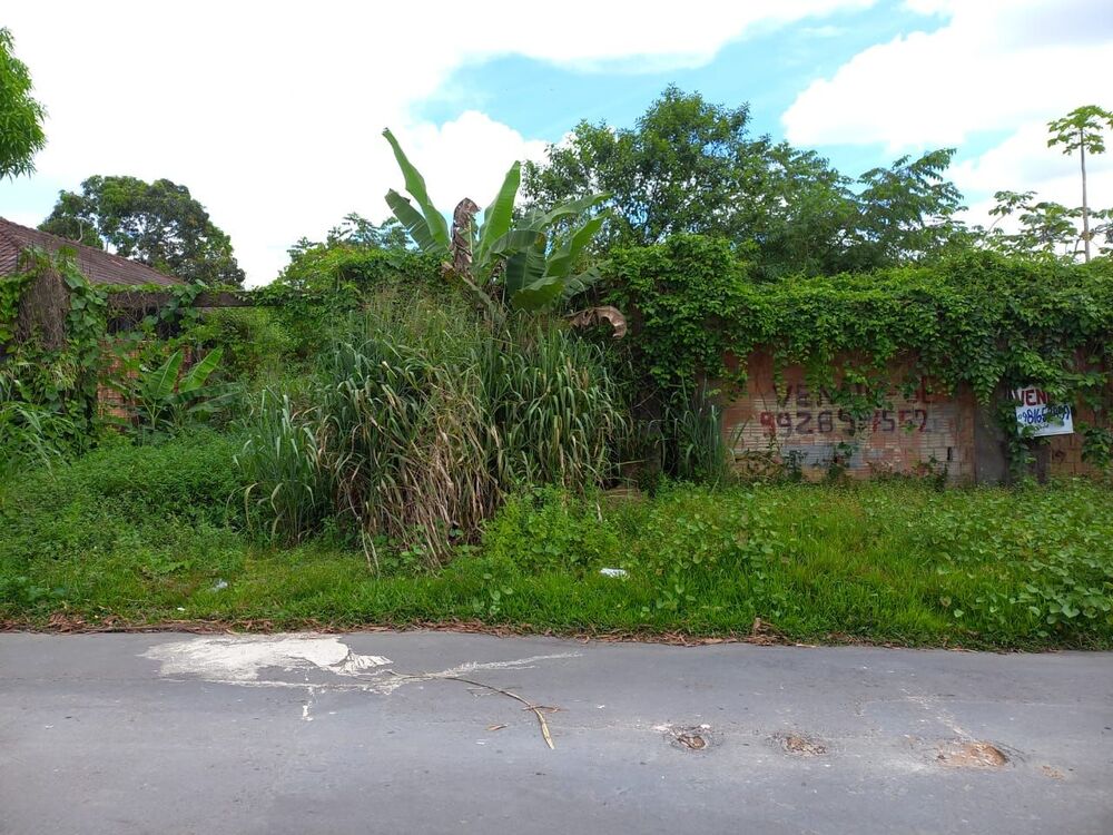 Terreno à venda - Foto 2