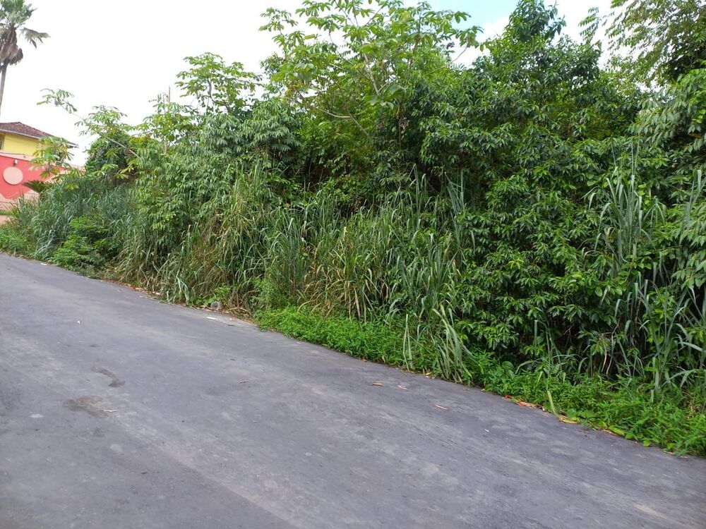 Terreno à venda - Foto 5