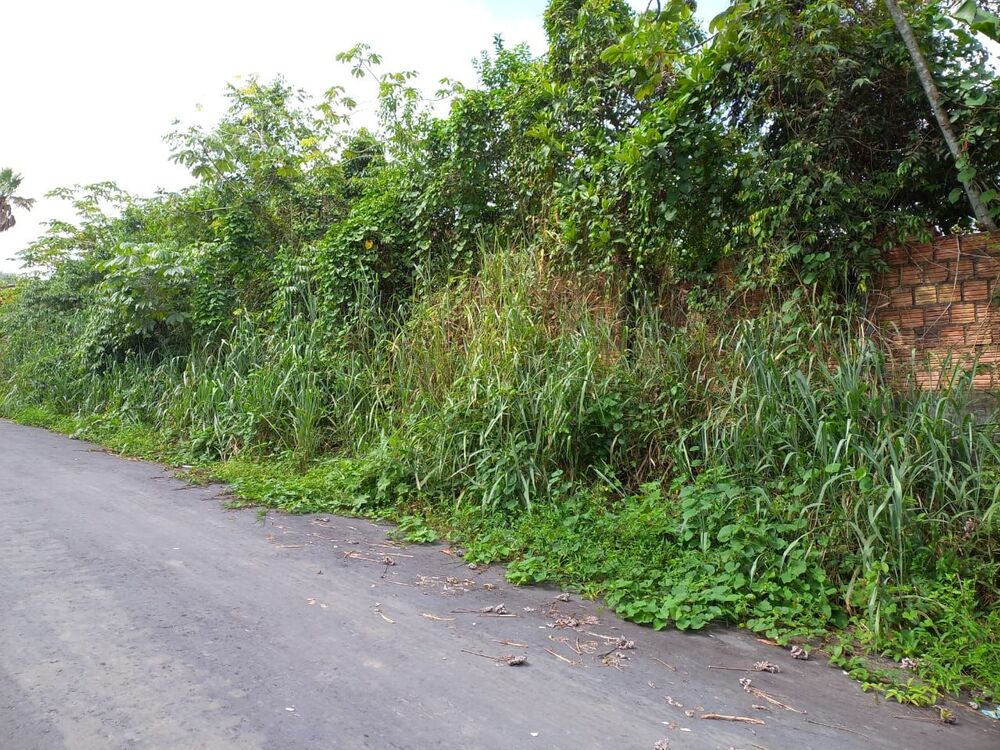 Terreno à venda - Foto 6